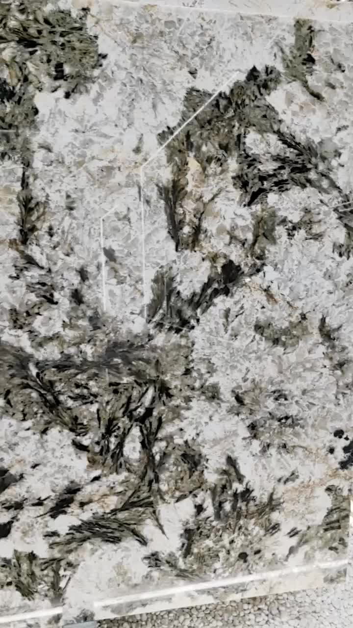 Brazil Alpinus White Granite Slabs