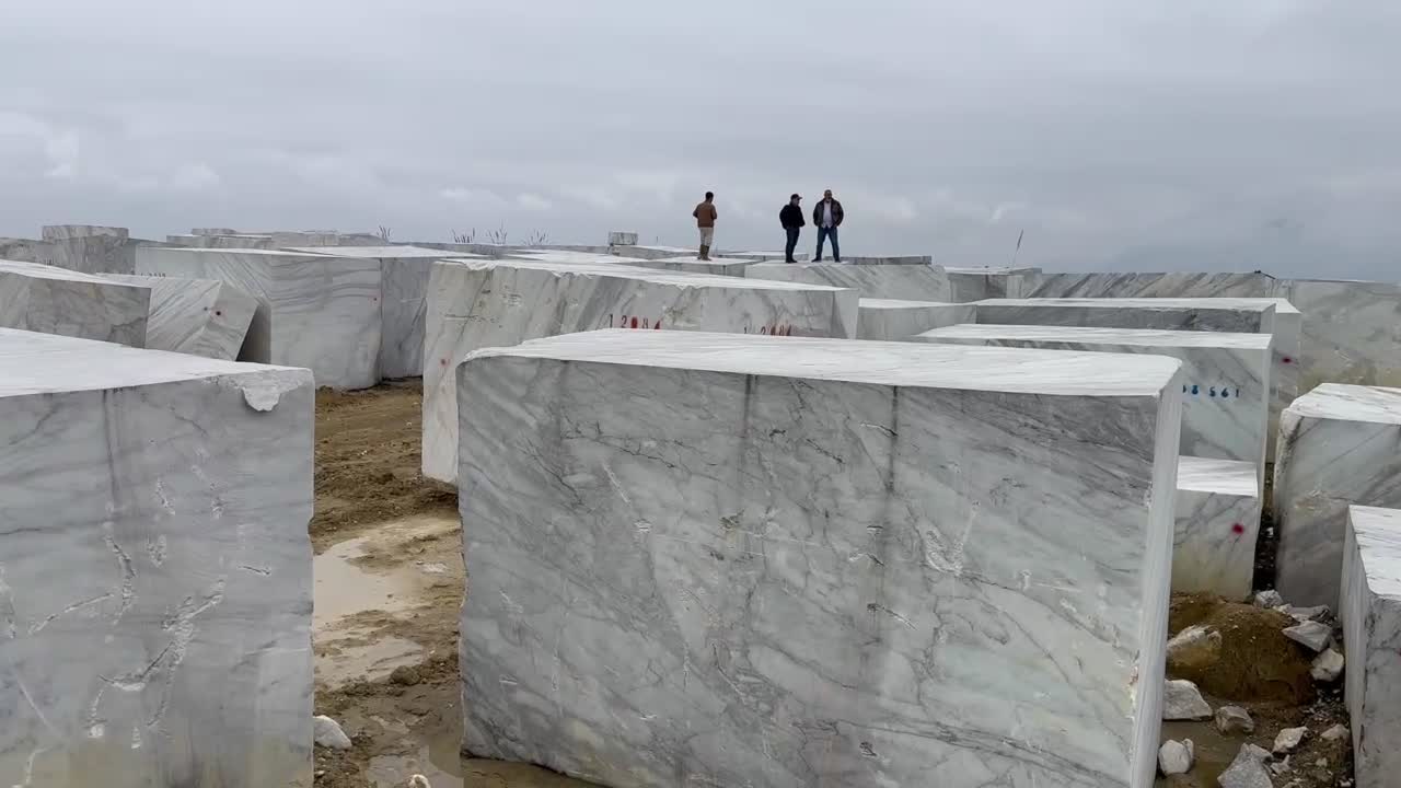 Viola Calacatta Marble Slab Tiles