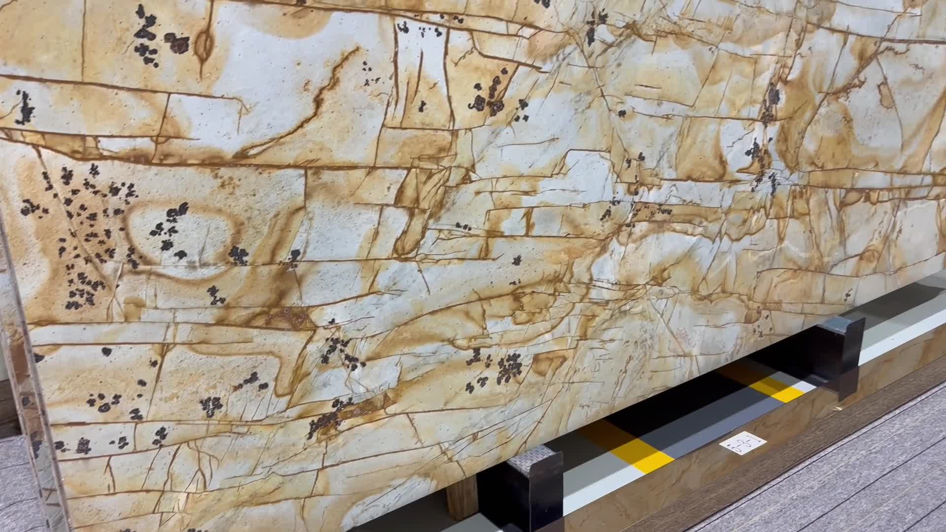 Roman Impression Quartzite Slabs