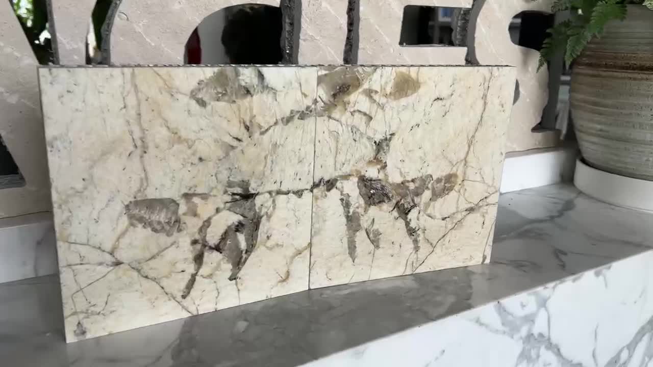 Blanc Du Blanc Granite Tile Laminated Honeycomb Panels