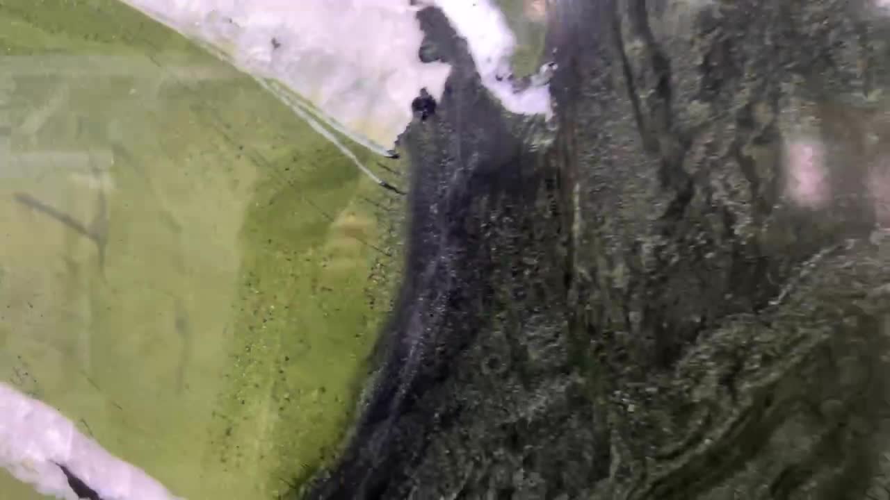 Verde Avocatus Quartzite Slabs