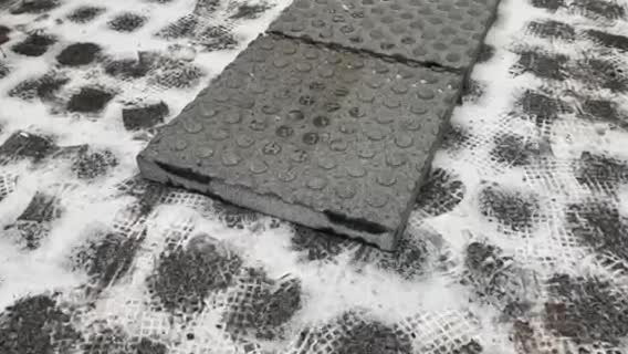 Ukrainian Gabbro Diabase Dark Magma Tactile Pavers