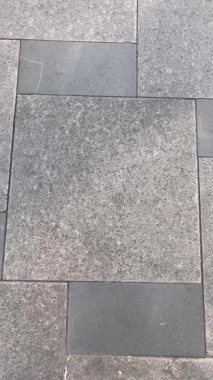 China Black Basalt Tiles Stone For Outdoor Floor