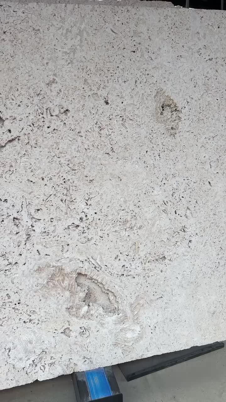 China Beige Coral Stone Slab Wall Tiles