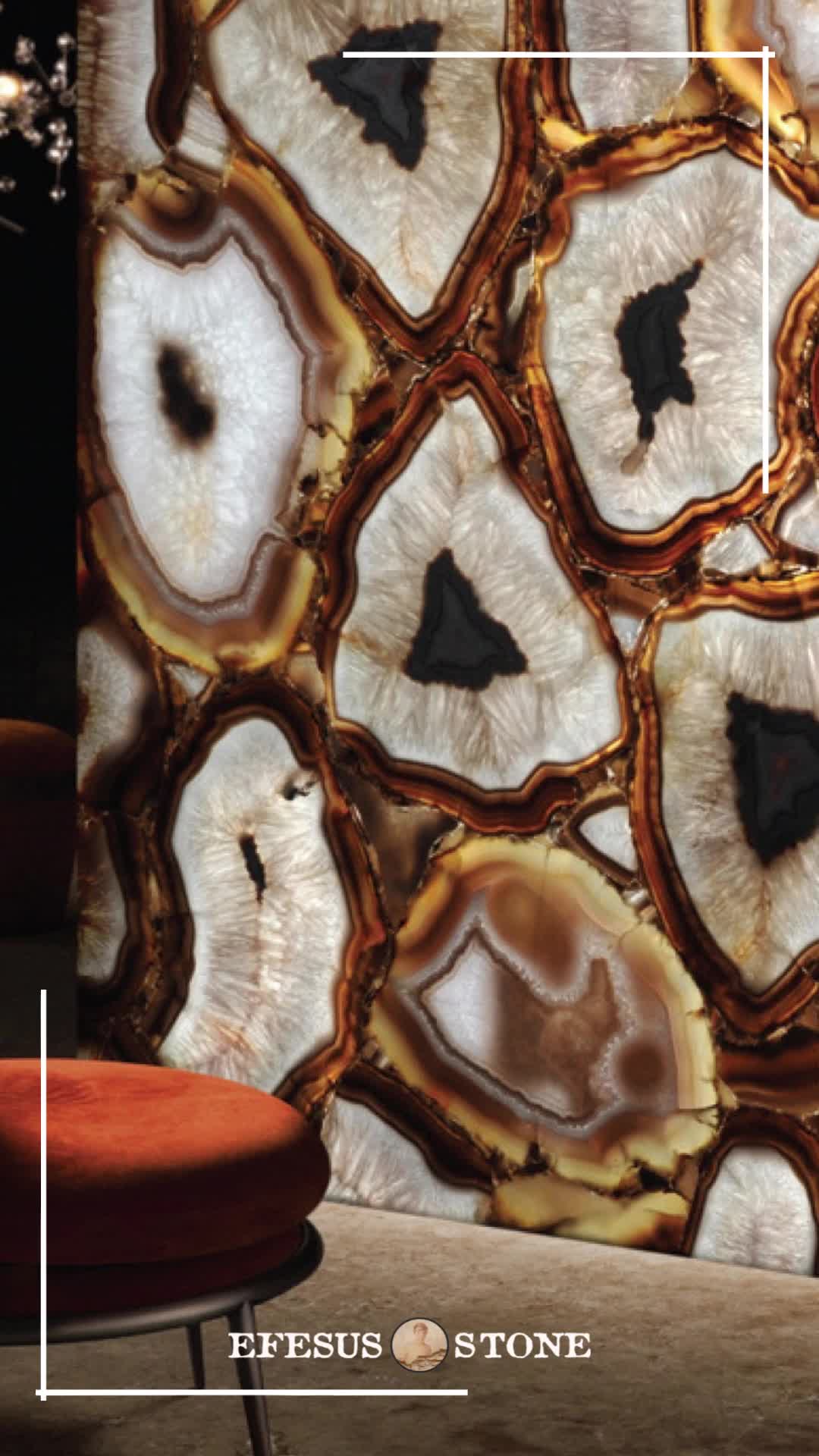 Petrified Wood Semiprecious Stone Slabs