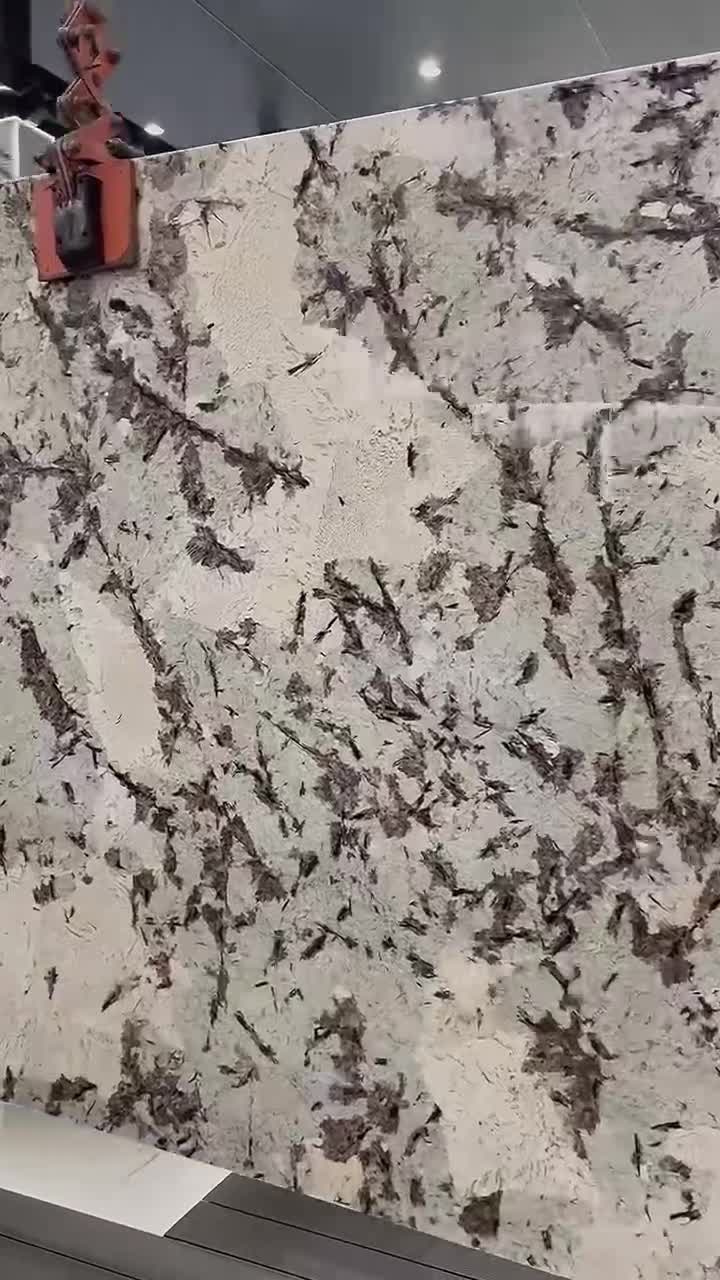 Polished Tourmaline Granite Slabs, Wall Panels