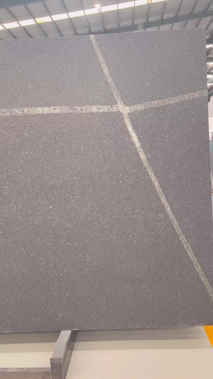 Spider Black Quartzite Polished Slabs