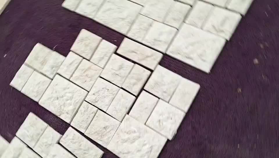 White Coral Stone For Wall Tiles