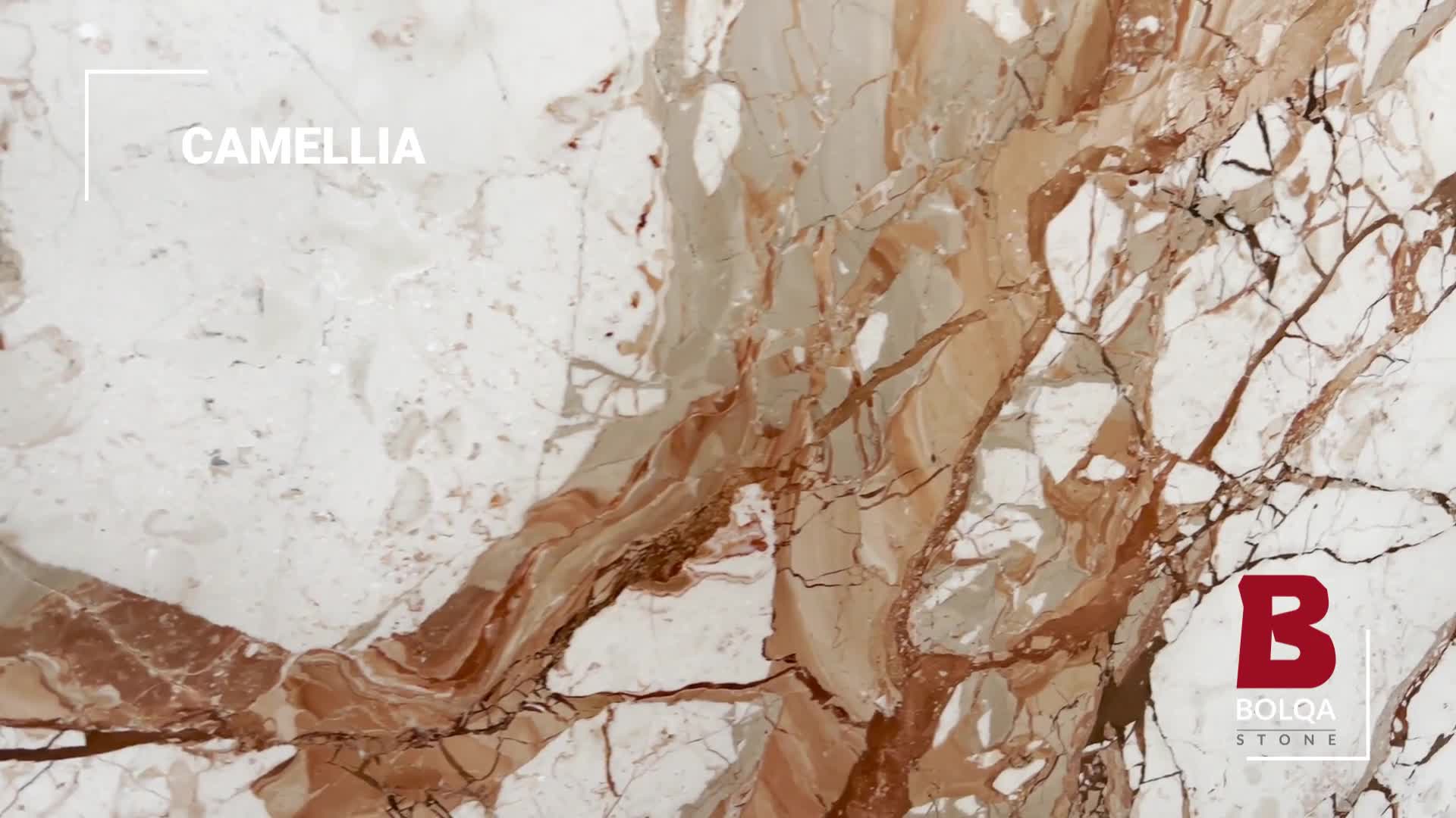 Iran Beige Marble Slabs - Camellia Marble