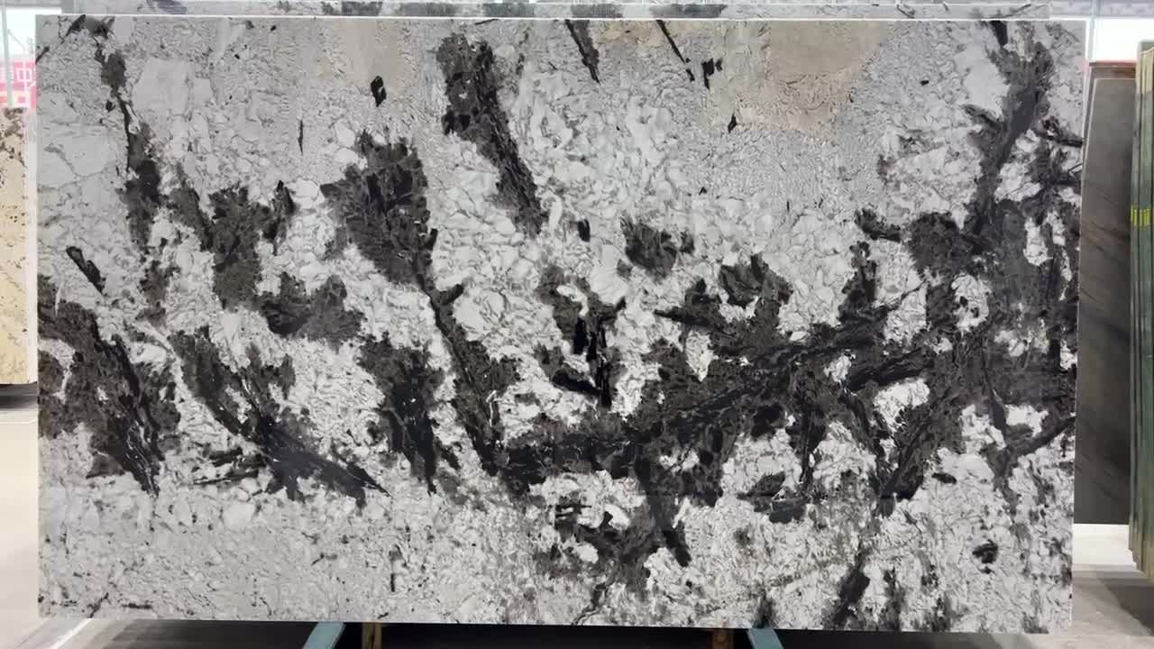 Silver Fox Granite Slabs