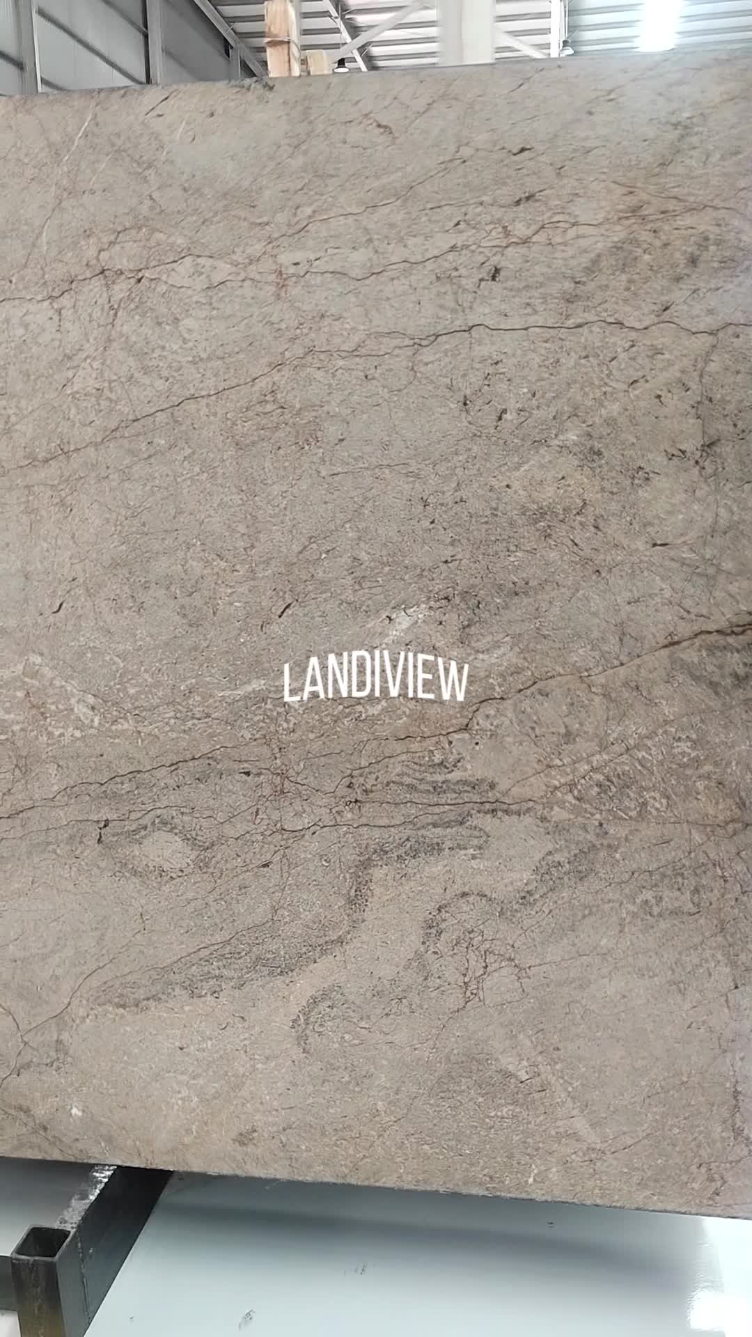 Silver Roots Marble Slabs For Bathroom Wall Tiles