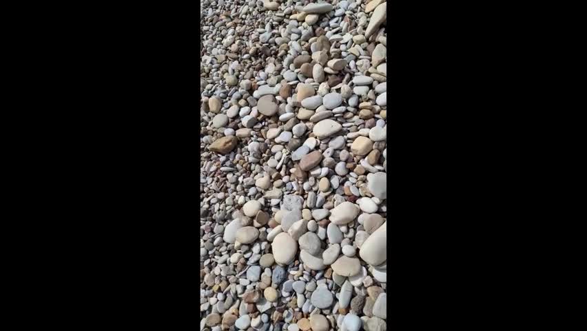 Washed River Pebble Stone (Natural Color)