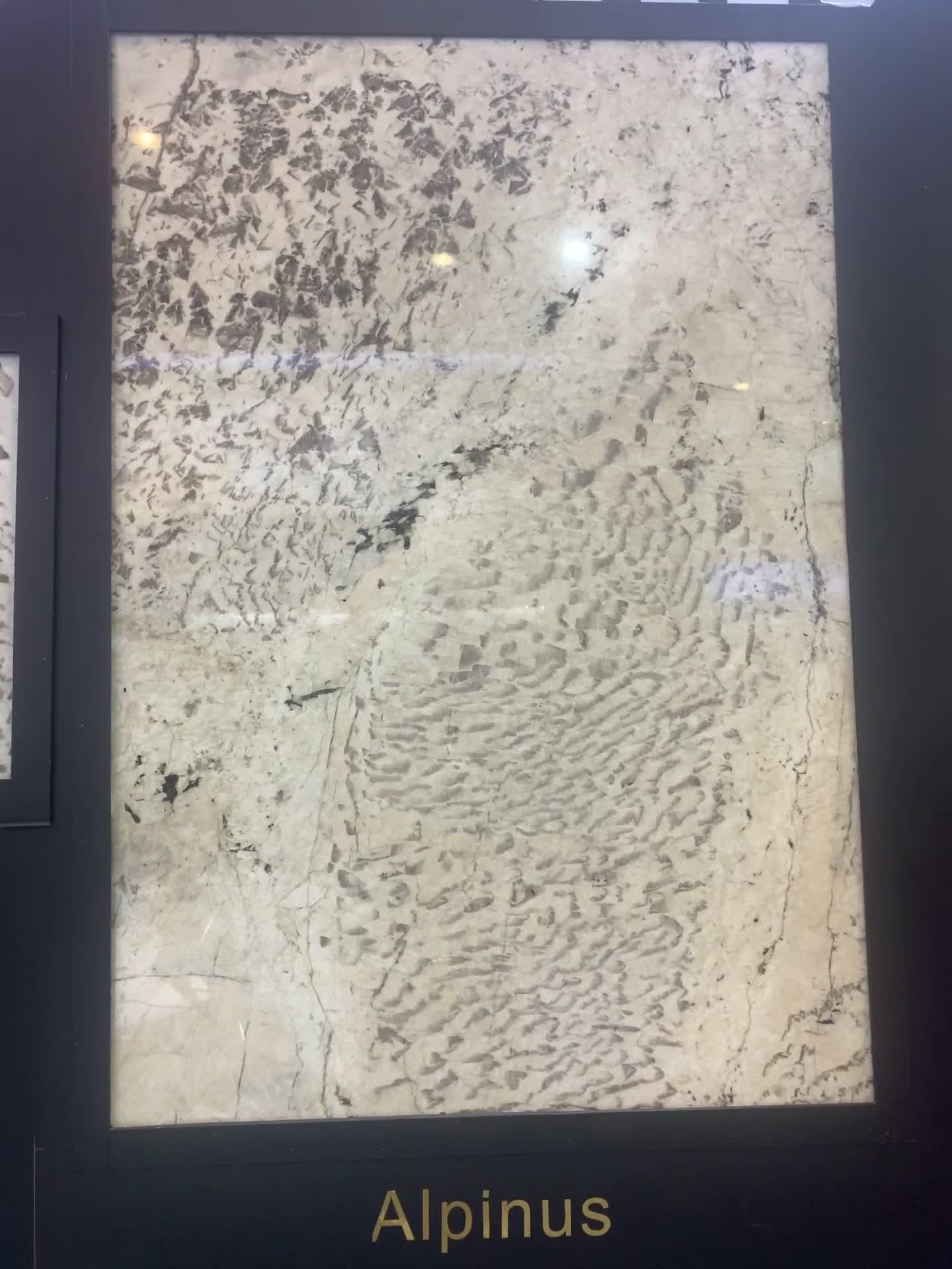 Alpinus Granite Slabs- Polished