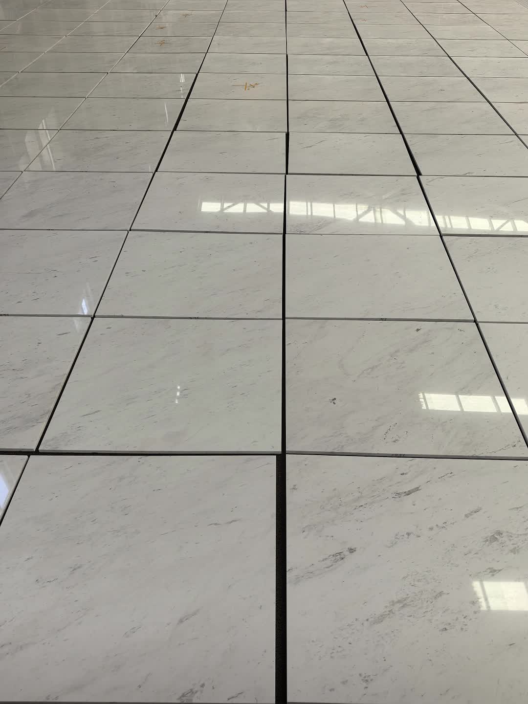 Ariston White Marble Wall  Tiles