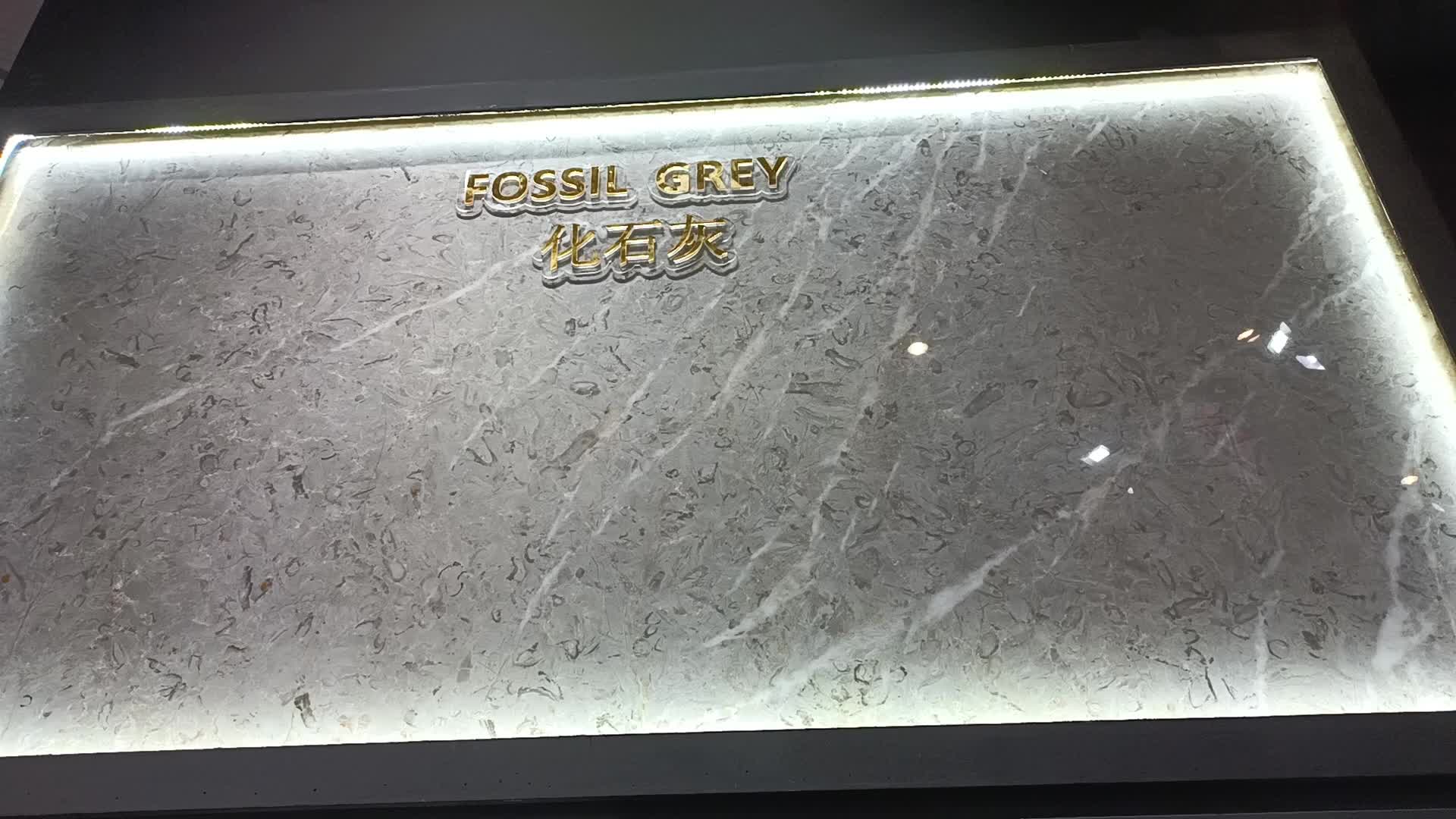 Fossil Grey Marble Slabs