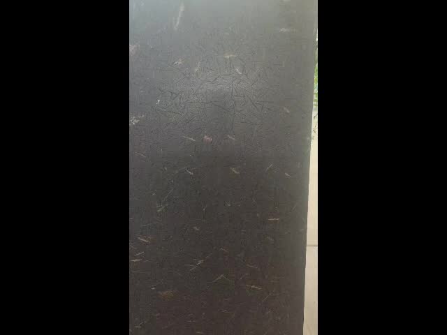 Van Gogh Black/Golden Jade Tower  Basalt Slabs
