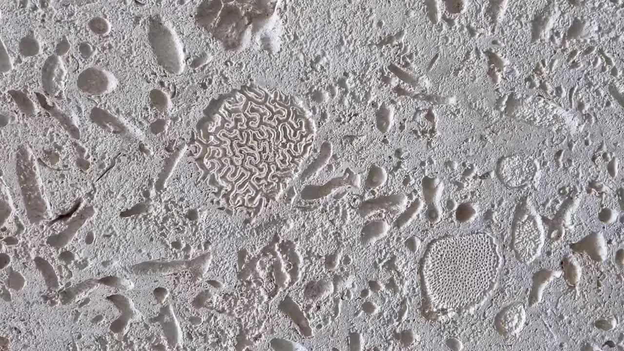 Calypso Coral Stone Tiles, Slabs