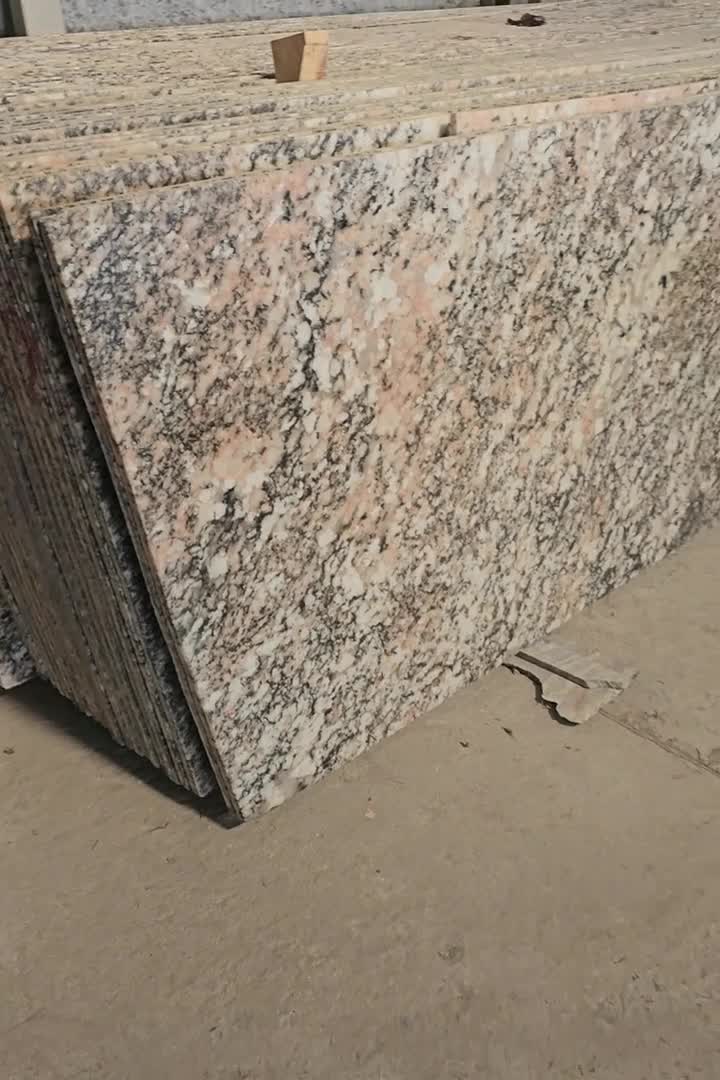 Exotic Alaska Multicolor Granite Slabs