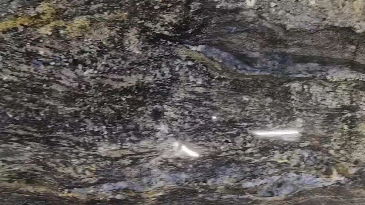 Nero Picasso Granite Slabs Polished Surface