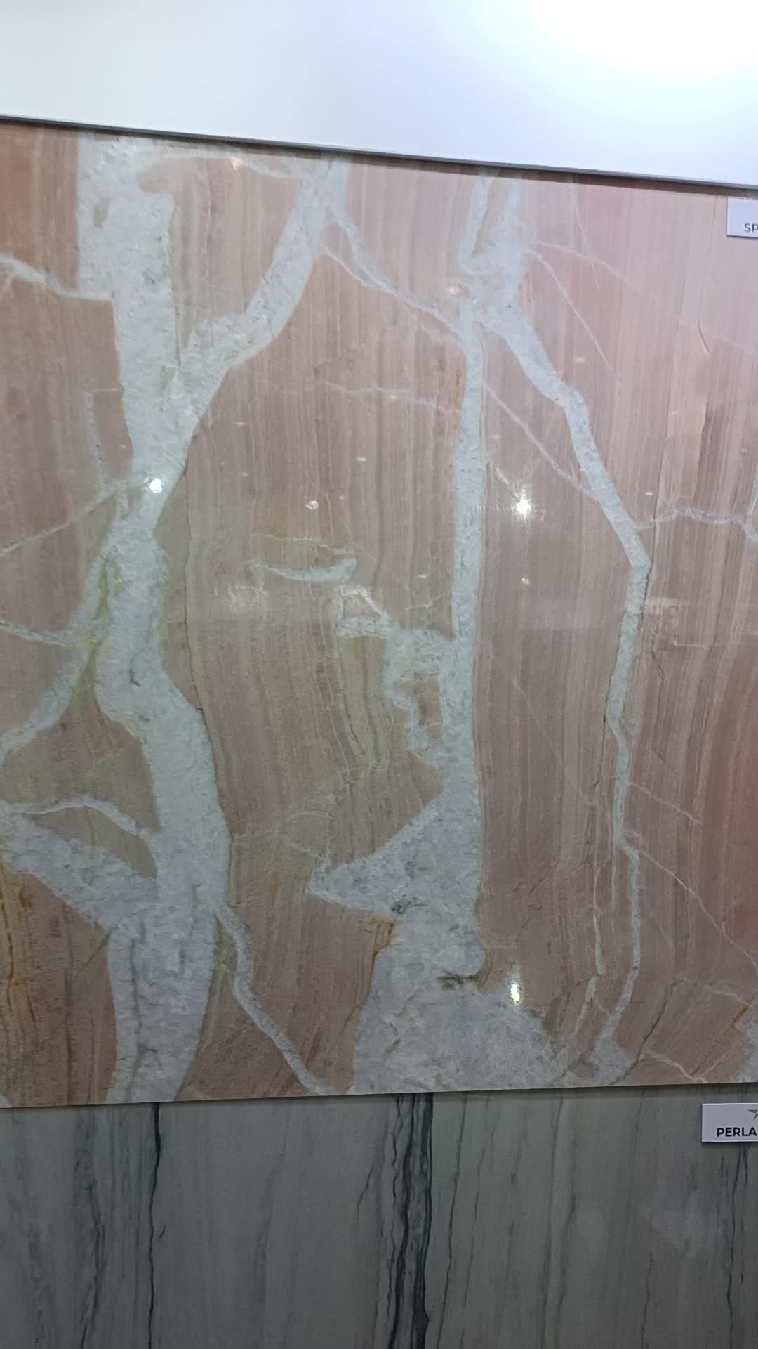 Splendido Quartzite Slabs