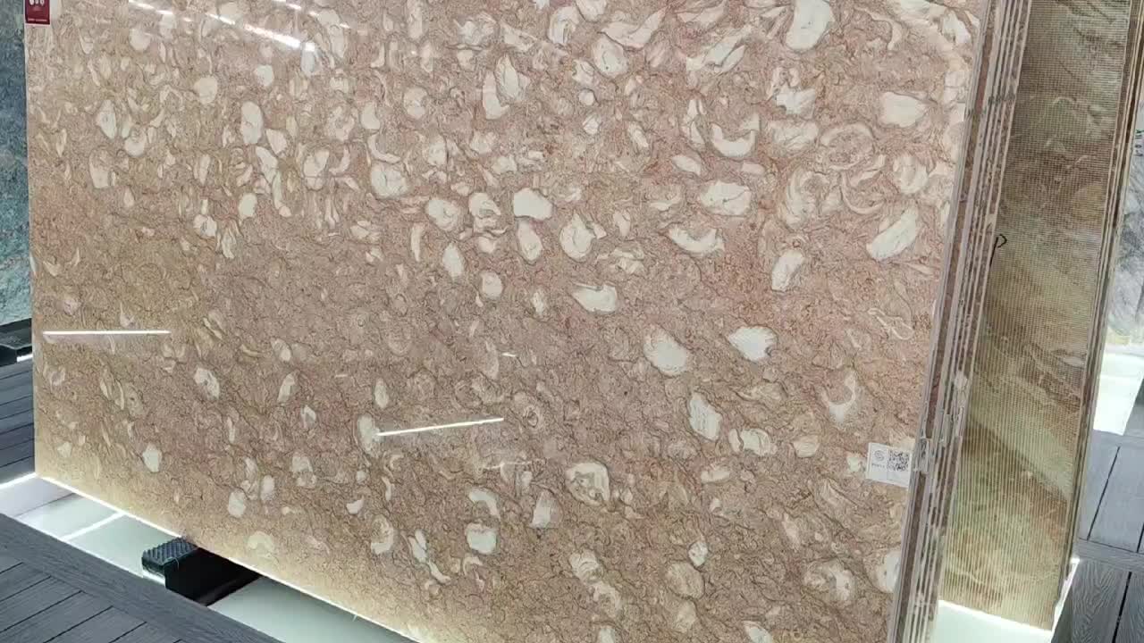 Orient Fossil  Limestone 20Mm Thick Polished Surface Slabs