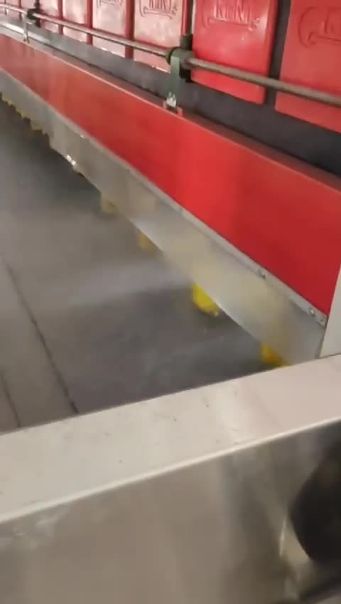 CAM Polishing Heads