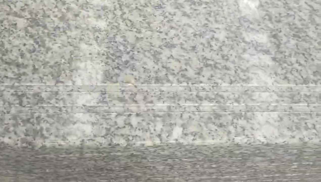 China G602 Grey Nanan Snow Plum Granite Slab Tiles