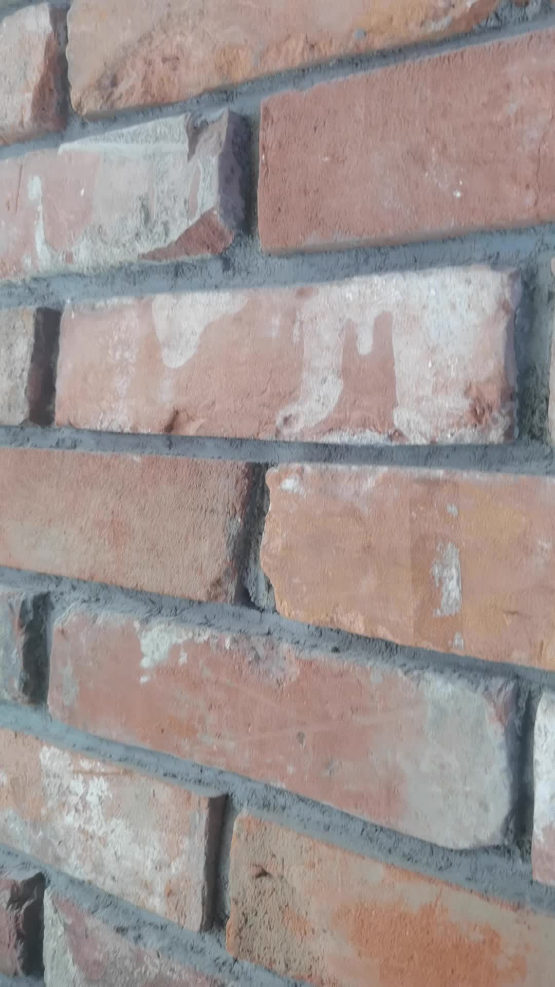Reclaimed Brick Wall Cladding Panels
