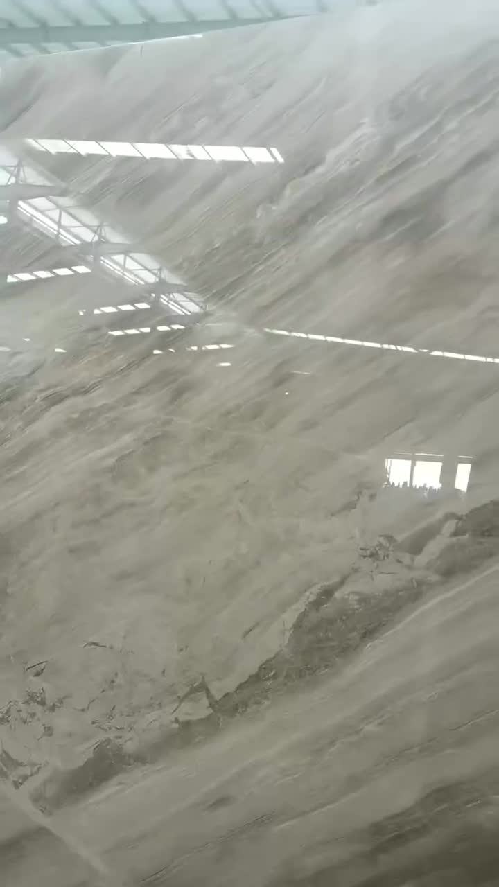Silver Diana Grey Polished Slabs Tiles