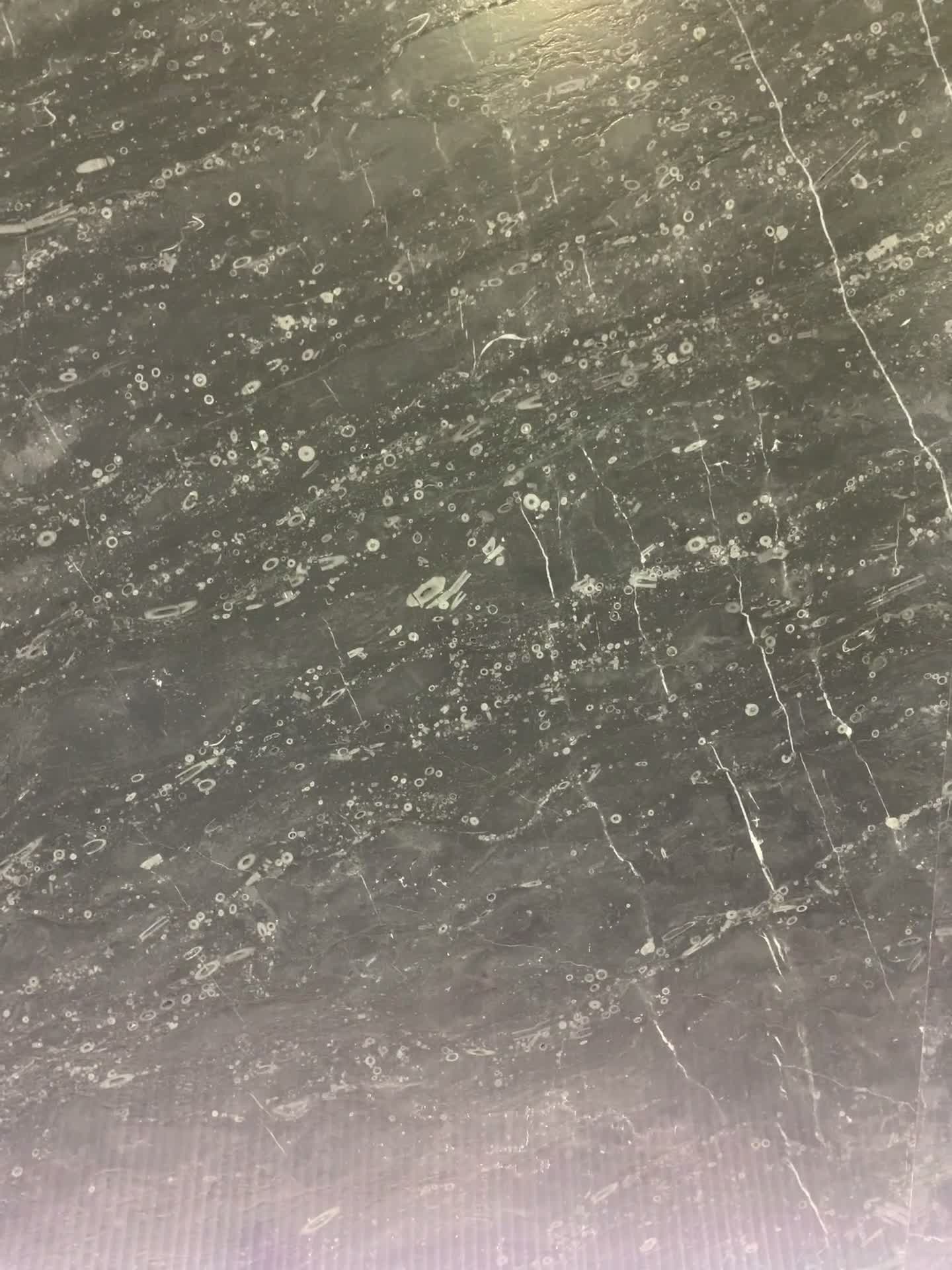 Lily Gray Marble Slabs