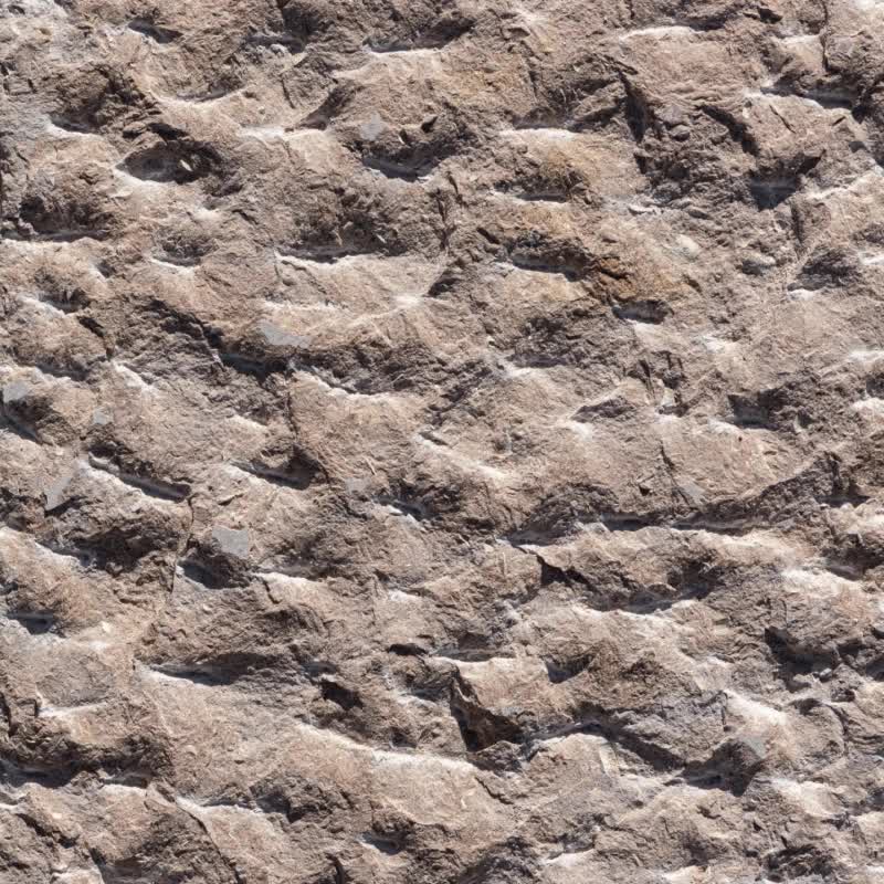 Sinai Pearl Rock Face Wall Tiles
