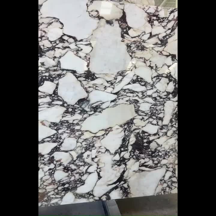 Calacatta Viola Marble Traditional Kitchen Design
