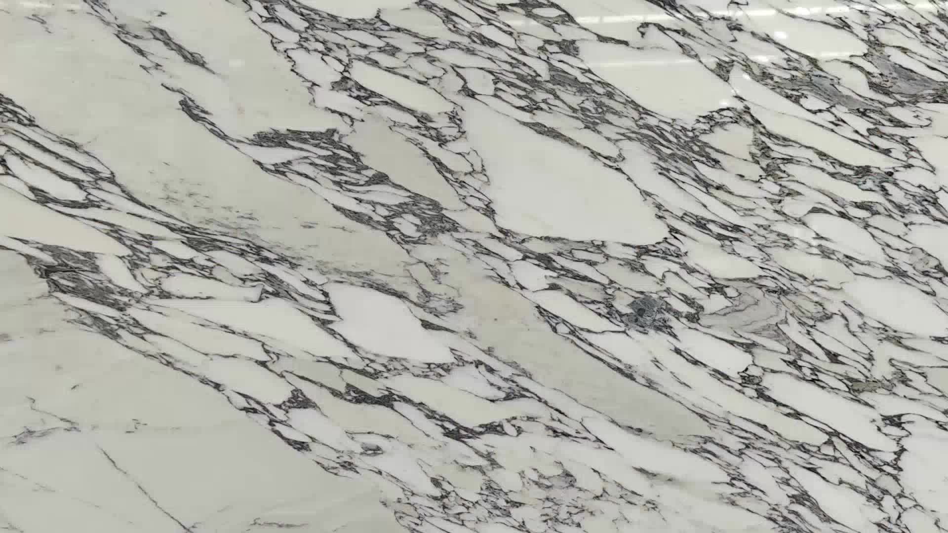 Arabescato Venato White Marble Slabs For Home Decoration