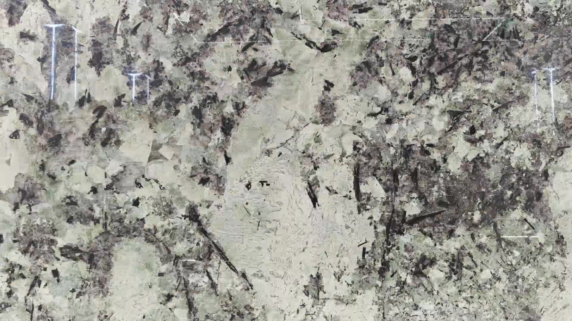Splendor White Luxury Granite Slabs For Home Wall Decoration